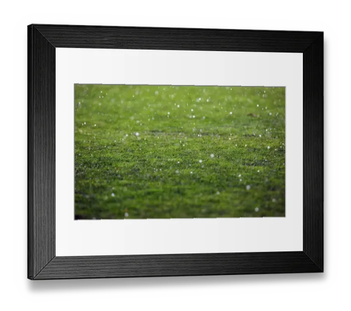 Framed Print : Championship Showdown in the Rain: Sheffield United vs. Bristol City (23 / 04 / 2011) Framed Print : Championship Showdown in the Rain: Sheffield United vs. Bristol City (23 / 04 / 2011)