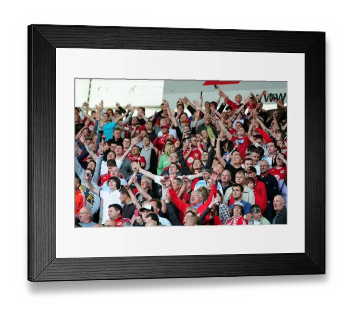 Framed Print : Unforgettable Championship Victory: Bristol City Triumphs at Derby County's Pride Park (30-04-2011) Framed Print : Unforgettable Championship Victory: Bristol City Triumphs at Derby County's Pride Park (30-04-2011)