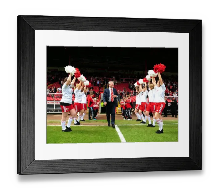 Framed Print : Emotional Farewell: Steve Lansdown's Last Game as Bristol City Chairman (07 / 05 / 2011) - Championship Match vs. Hull City