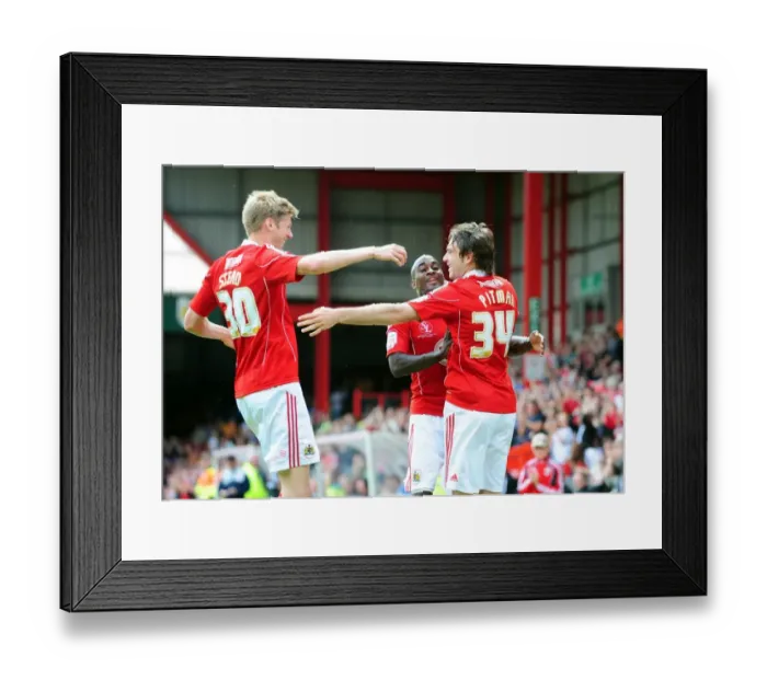 Framed Print : Brett Pitman's Double: Bristol City Celebrates Championship Victory Over Hull City (07-05-2011)