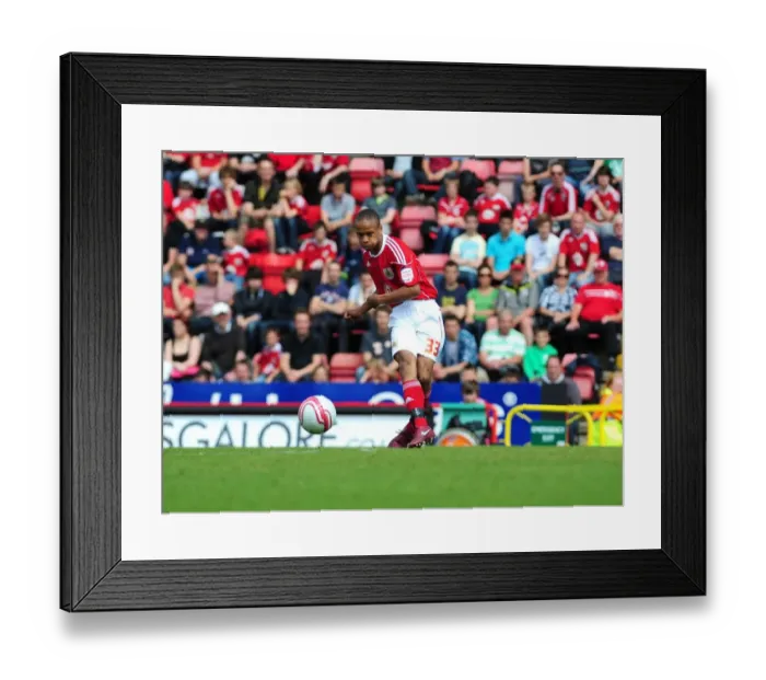 Framed Print : Bobby Reid's Championship Debut: Bristol City vs. Hull City (May 7, 2011)