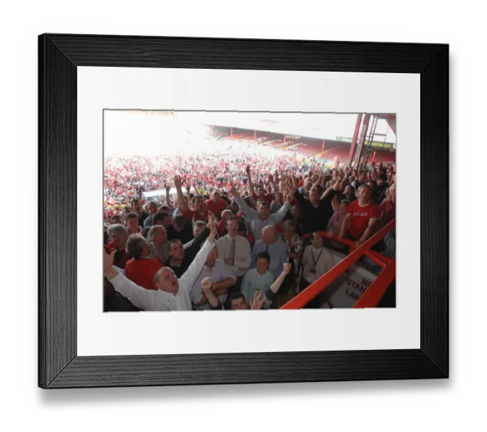 Framed Print : Exuberant Fans Celebrate Promotion on the Pitch: Bristol City Framed Print : Exuberant Fans Celebrate Promotion on the Pitch: Bristol City