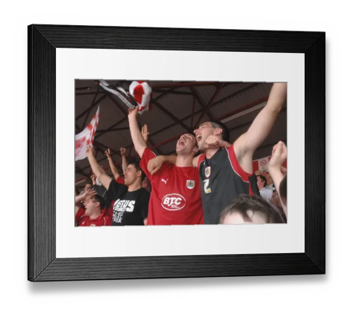 Framed Print : Promotion. Bristol City Promotion