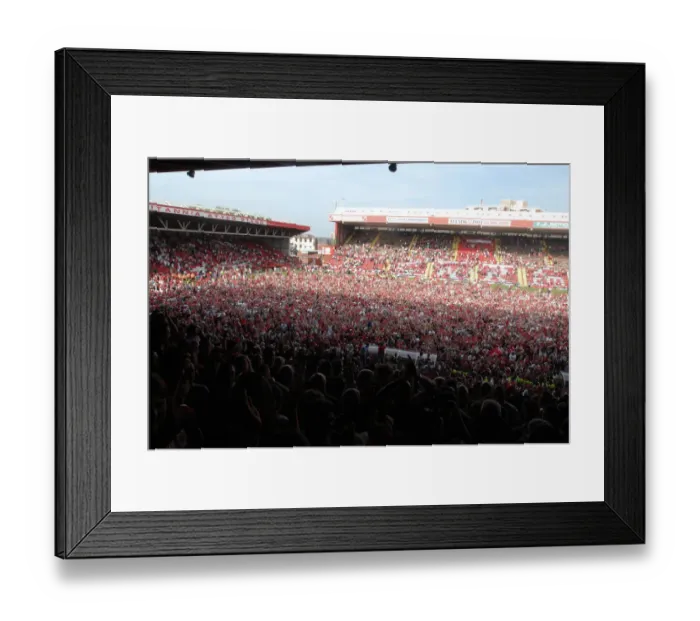 Framed Print : Bristol City Football Club: Unforgettable Moment of Promotion - Thrilled Fans Invade the Pitch