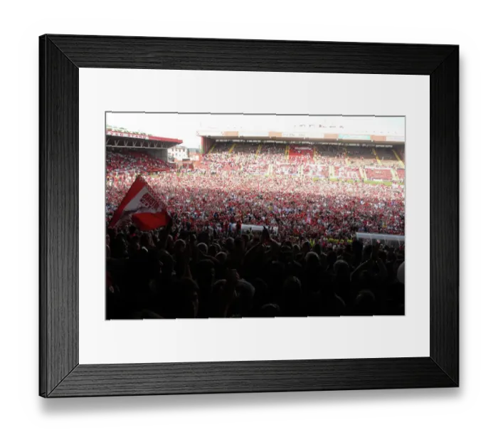 Framed Print : Fans on pitch-Promotion