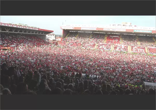 Jubilant Bristol City Fans Celebrate Promotion on the Pitch