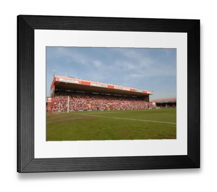 Framed Print : Bristol City FC's Exultant Promotion to the Championship Framed Print : Bristol City FC's Exultant Promotion to the Championship