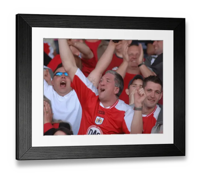 Framed Print : Bristol City FC's Unforgettable Promotion to the Championship Framed Print : Bristol City FC's Unforgettable Promotion to the Championship