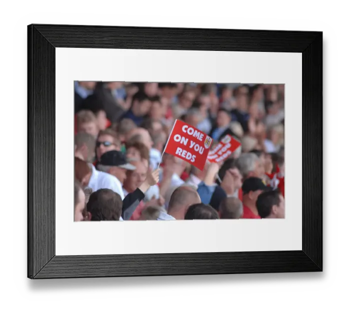 Framed Print : Bristol City FC: Uniting Fans in the Euphoria of Promotion