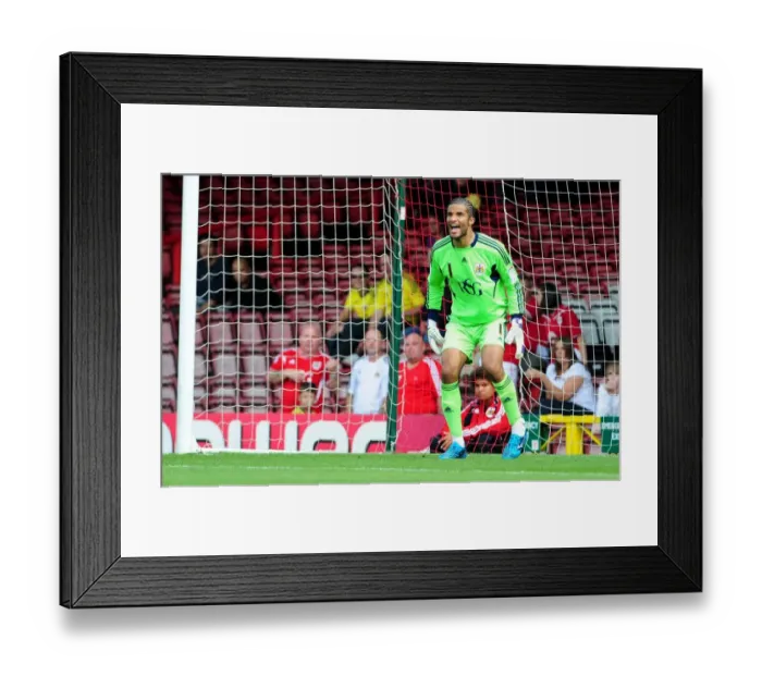 Framed Print : David James in Action: Championship Showdown between Bristol City and West Brom, July 30, 2011 (Bristol City v West Bromwich Albion) Framed Print : David James in Action: Championship Showdown between Bristol City and West Brom, July 30, 2011 (Bristol City v West Bromwich Albion)