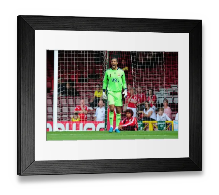 Framed Print : Championship Showdown: David James in Action - Bristol City vs. West Brom, July 30, 2011 (Bristol City v West Bromwich Albion) - Football Match Highlight - Bristol City Goalkeeper Framed Print : Championship Showdown: David James in Action - Bristol City vs. West Brom, July 30, 2011 (Bristol City v West Bromwich Albion) - Football Match Highlight - Bristol City Goalkeeper
