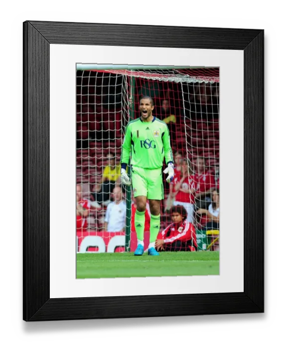 Framed Print : Championship Showdown: David James in Action for Bristol City Against West Brom, July 30, 2011 Framed Print : Championship Showdown: David James in Action for Bristol City Against West Brom, July 30, 2011