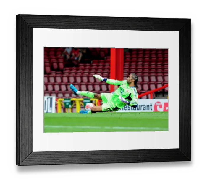 Framed Print : Bristol City's David James Denies West Brom: Dramatic Save in Championship Clash (30-07-2011)