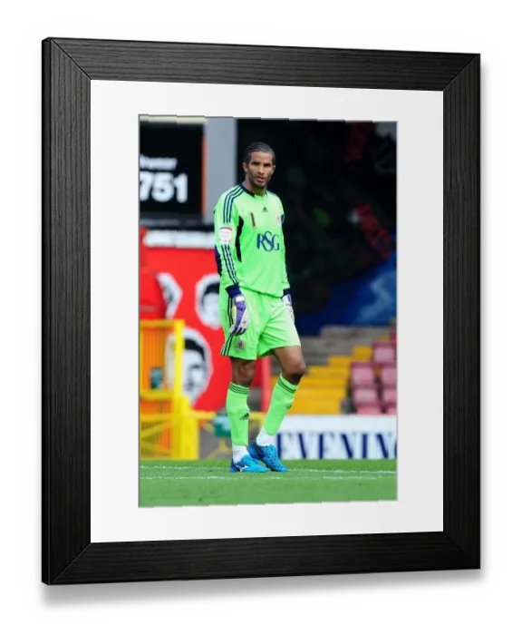 Framed Print : David James in Action: Championship Showdown - Bristol City vs. West Bromwich Albion, July 30, 2011 (Bristol City v West Brom) Framed Print : David James in Action: Championship Showdown - Bristol City vs. West Bromwich Albion, July 30, 2011 (Bristol City v West Brom)