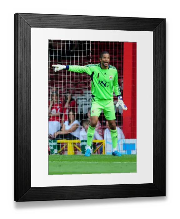 Framed Print : Championship Showdown: David James in Action - Bristol City vs. West Brom, July 30, 2011 (Football: David James vs. West Bromwich Albion) - Bristol City Goalkeeper at Ashton Gate Stadium Framed Print : Championship Showdown: David James in Action - Bristol City vs. West Brom, July 30, 2011 (Football: David James vs. West Bromwich Albion) - Bristol City Goalkeeper at Ashton Gate Stadium