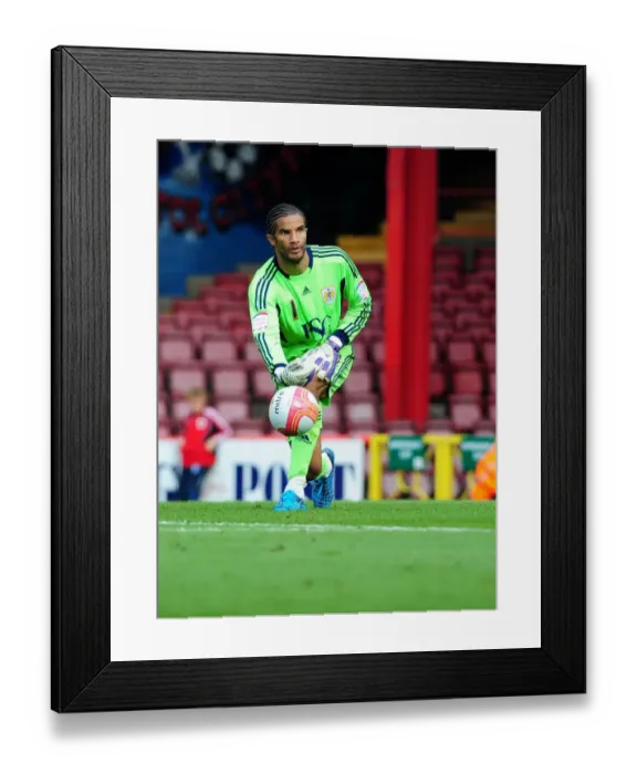 Framed Print : David James in Action: Championship Showdown at Ashton Gate - Bristol City vs. West Brom, July 30, 2011 Framed Print : David James in Action: Championship Showdown at Ashton Gate - Bristol City vs. West Brom, July 30, 2011