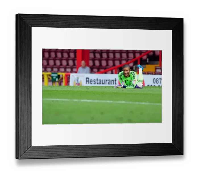 Framed Print : Championship Showdown: David James in Action - Bristol City vs. West Brom, July 30, 2011 Framed Print : Championship Showdown: David James in Action - Bristol City vs. West Brom, July 30, 2011