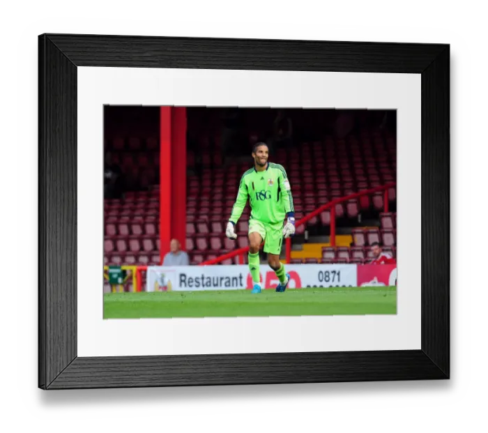 Framed Print : Championship Showdown: David James Dramatic Goalkeeping Display - Bristol City vs. West Brom, July 30, 2011 (Bristol City v West Bromwich Albion) - Football at Ashton Gate Stadium