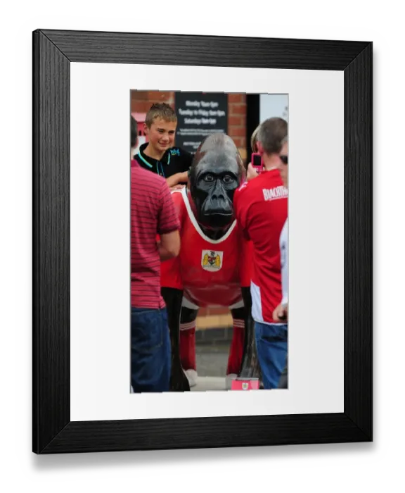 Framed Print : Bristol City vs. West Brom: A Football Showdown - Season 11-12