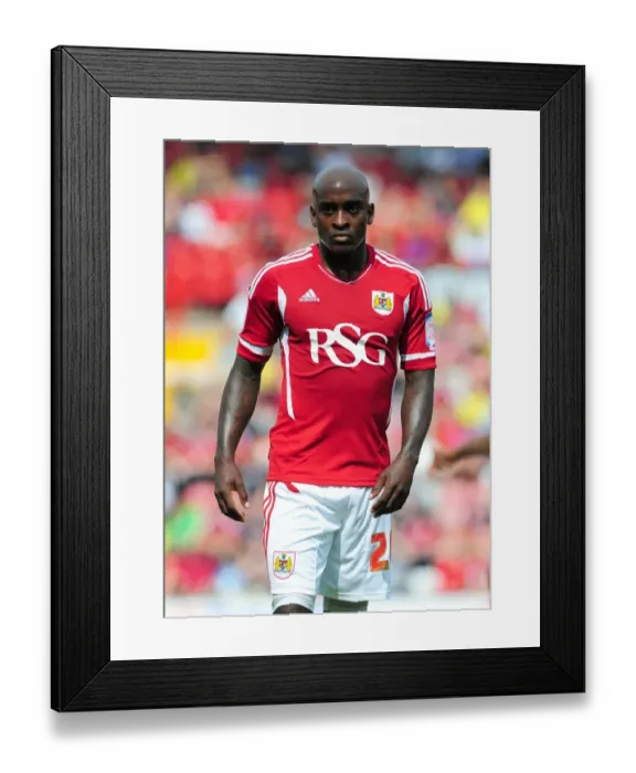 Framed Print : Bristol City First Team: Season 11-12: Bristol City v West Brom