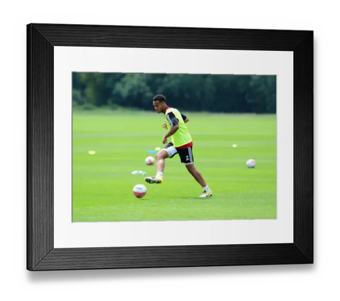 Framed Print : Bristol City FC: Aaron Holland's Focused Pre-Season Training Framed Print : Bristol City FC: Aaron Holland's Focused Pre-Season Training