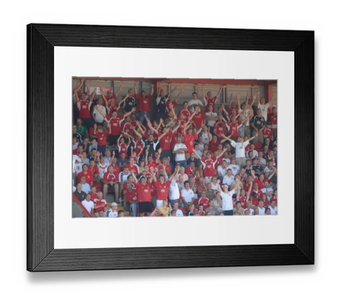 Framed Print : Fans Framed Print : Fans