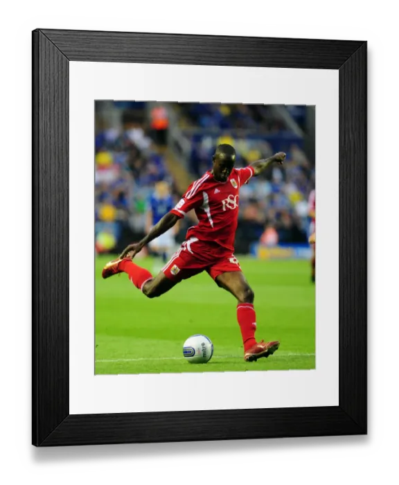 Framed Print : Leicester City v Bristol City 170811