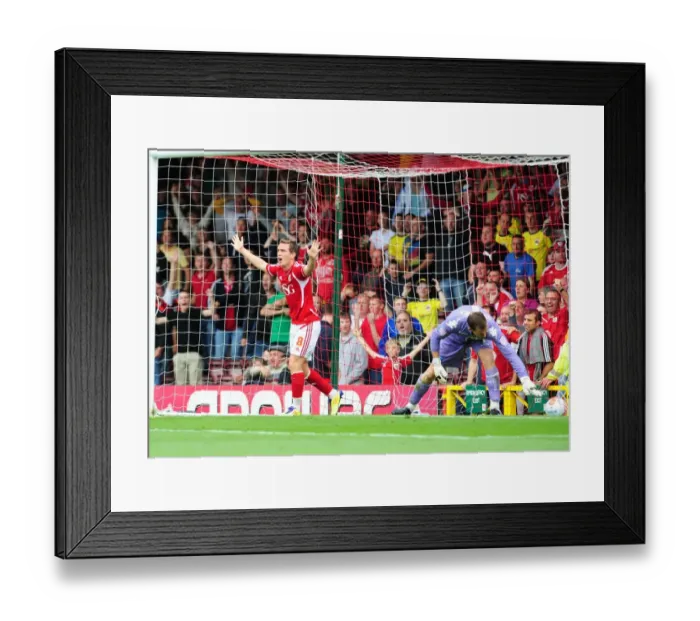 Framed Print : Bristol City's Neil Kilkenny Disbelief as Goal is Disallowed in 200811 Championship Match vs. Portsmouth Framed Print : Bristol City's Neil Kilkenny Disbelief as Goal is Disallowed in 200811 Championship Match vs. Portsmouth