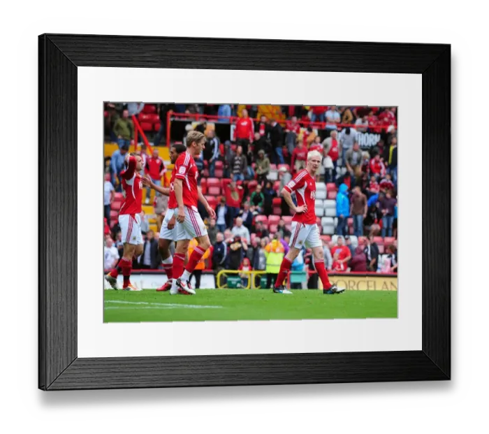 Framed Print : Bristol City Football Club: Championship Clash with Brighton - Final Whistle at Ashton Gate Stadium (September 10, 2011) Framed Print : Bristol City Football Club: Championship Clash with Brighton - Final Whistle at Ashton Gate Stadium (September 10, 2011)