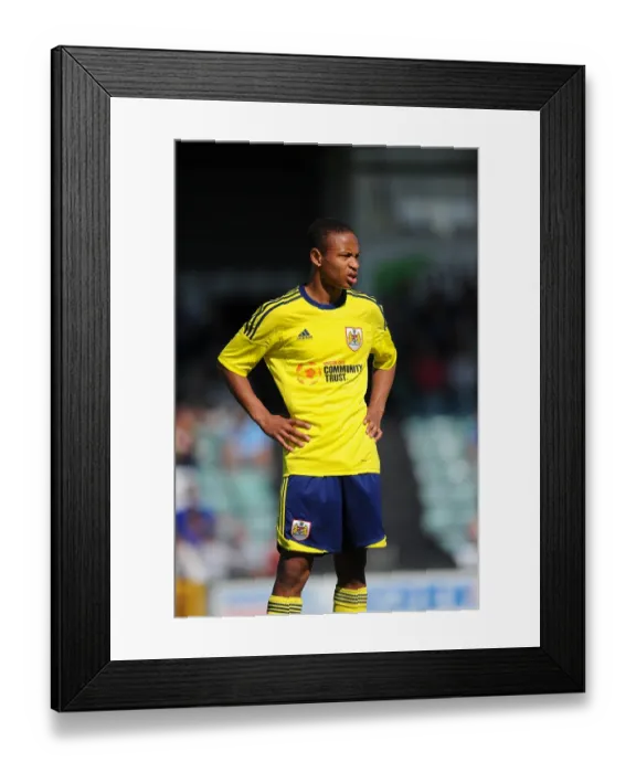Framed Print : Bristol City vs Yeovil: The Intense Rivalry - Season 11-12 Framed Print : Bristol City vs Yeovil: The Intense Rivalry - Season 11-12
