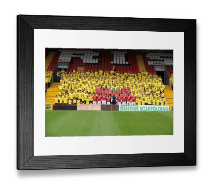 Framed Print : Bristol City FC: 2011-12 Season Open Day with First Team Framed Print : Bristol City FC: 2011-12 Season Open Day with First Team