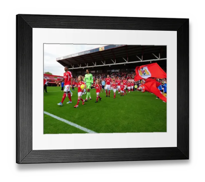 Framed Print : Bristol City vs Hull City: A Football Rivalry - Season 11-12 Framed Print : Bristol City vs Hull City: A Football Rivalry - Season 11-12