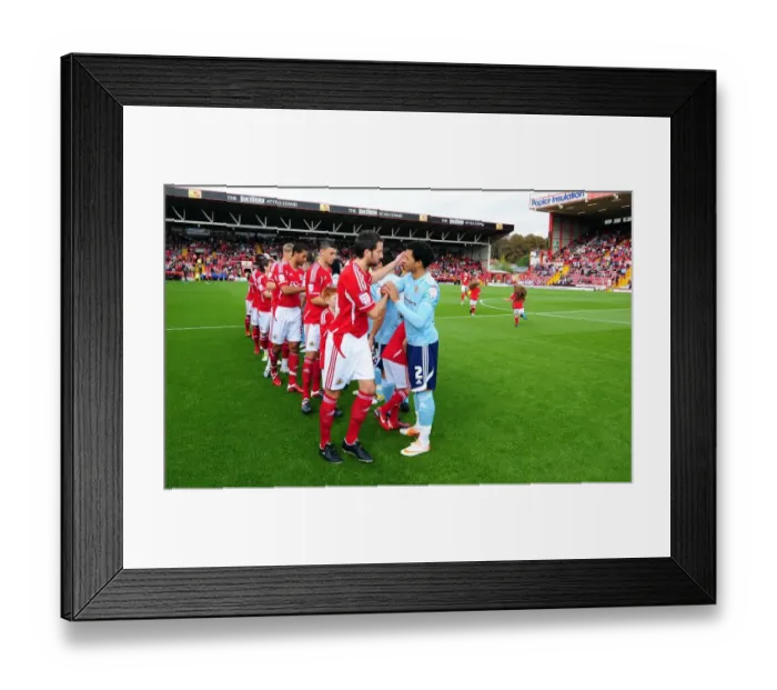 Framed Print : Bristol City vs Hull City: Season 11-12 Clash