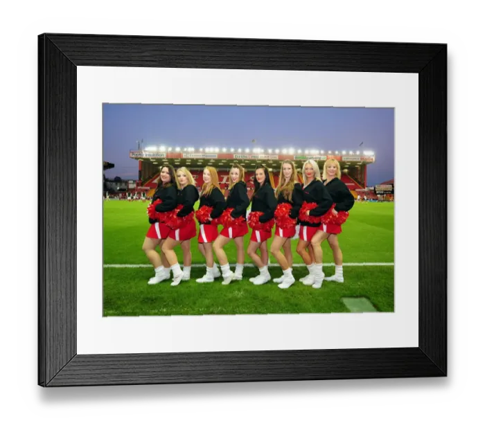 Framed Print : The Exciting Showdown: Bristol City vs Reading - Season 11-12 Framed Print : The Exciting Showdown: Bristol City vs Reading - Season 11-12
