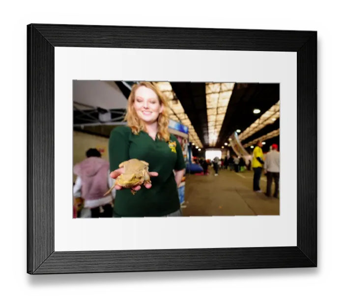 Framed Print : Bristol City vs. Peterborough United: A Football Rivalry - Season 11-12