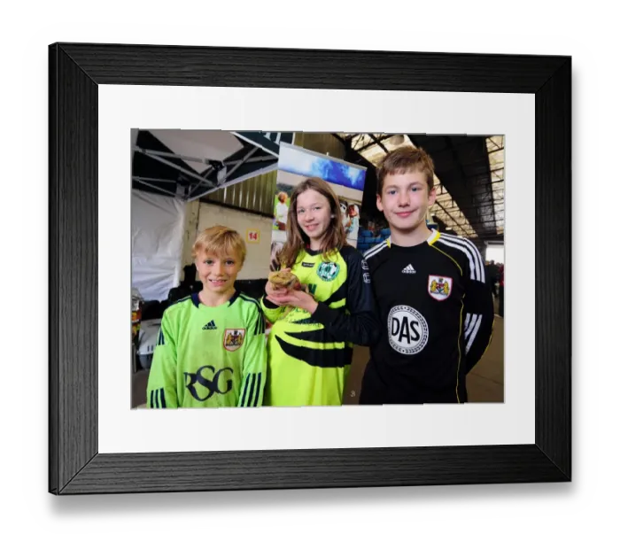 Framed Print : Bristol City vs Peterborough United: A Football Rivalry - Season 11-12