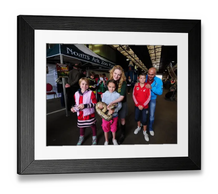 Framed Print : Bristol City vs. Peterborough United: A Football Rivalry Unfolds - Season 11-12 Framed Print : Bristol City vs. Peterborough United: A Football Rivalry Unfolds - Season 11-12