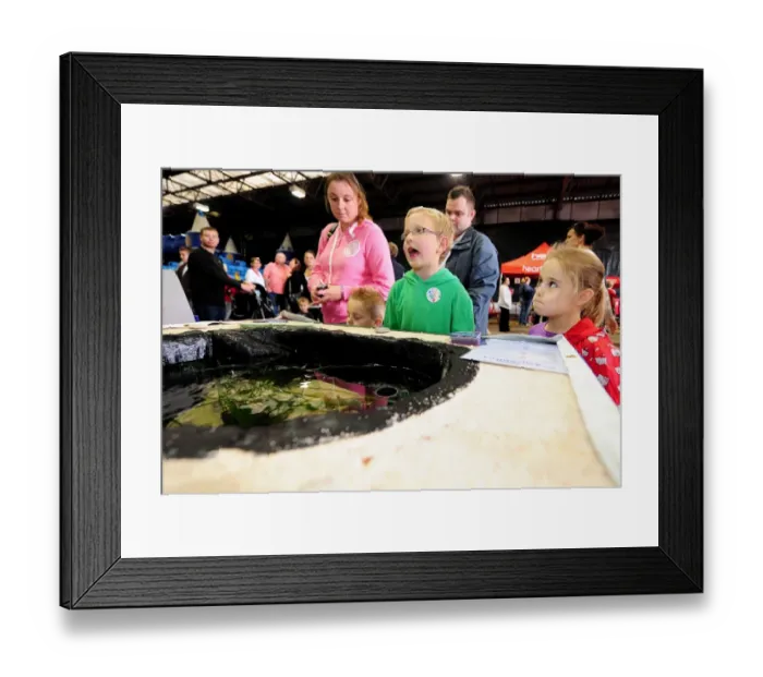 Framed Print : Bristol City vs. Peterborough United: A Football Rivalry - Season 11-12 Framed Print : Bristol City vs. Peterborough United: A Football Rivalry - Season 11-12