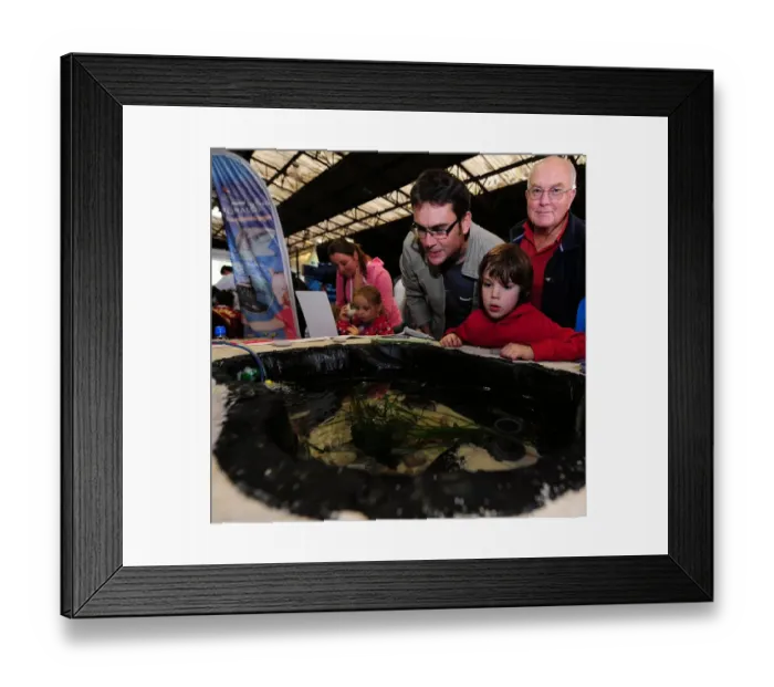 Framed Print : Bristol City vs. Peterborough United: A Football Rivalry - Season 11-12