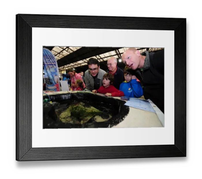 Framed Print : Bristol City vs Peterborough United: A Football Rivalry Unfolds - Season 11-12