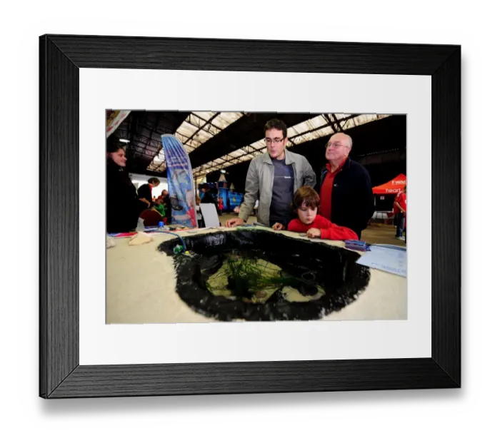 Framed Print : Bristol City vs. Peterborough United: Football Rivalry - Season 11-12