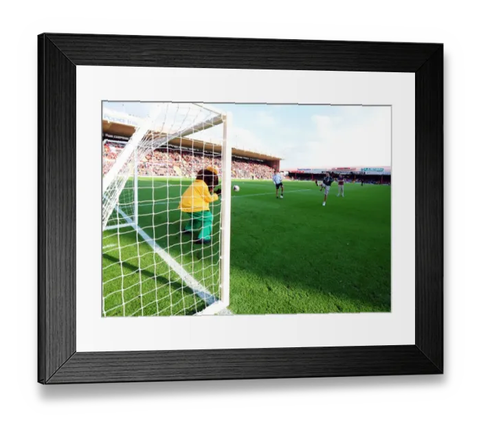 Framed Print : Bristol City vs Peterborough United: A Football Rivalry Unfolds - Season 11-12 Framed Print : Bristol City vs Peterborough United: A Football Rivalry Unfolds - Season 11-12