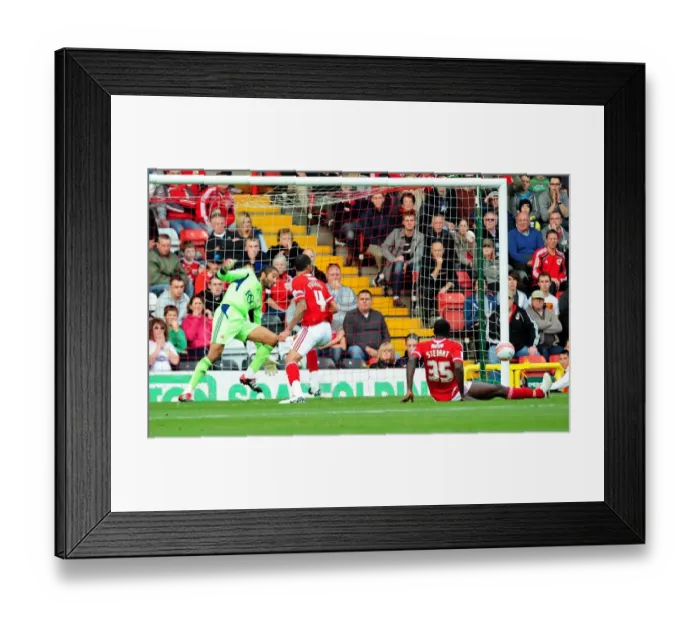 Framed Print : Bristol City's David James: Spectacular Save Against Birmingham City in Championship Match (23 / 10 / 2011) Framed Print : Bristol City's David James: Spectacular Save Against Birmingham City in Championship Match (23 / 10 / 2011)