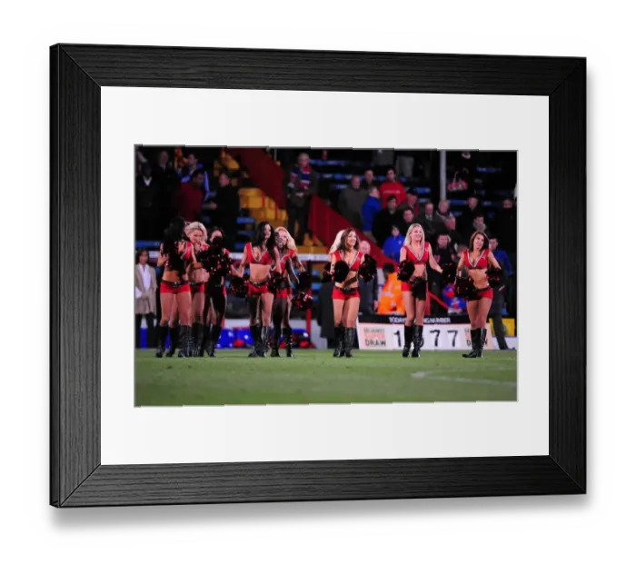Framed Print : Crystal Palace v Bristol City
