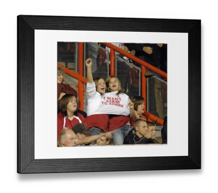 Framed Print : Fans Framed Print : Fans