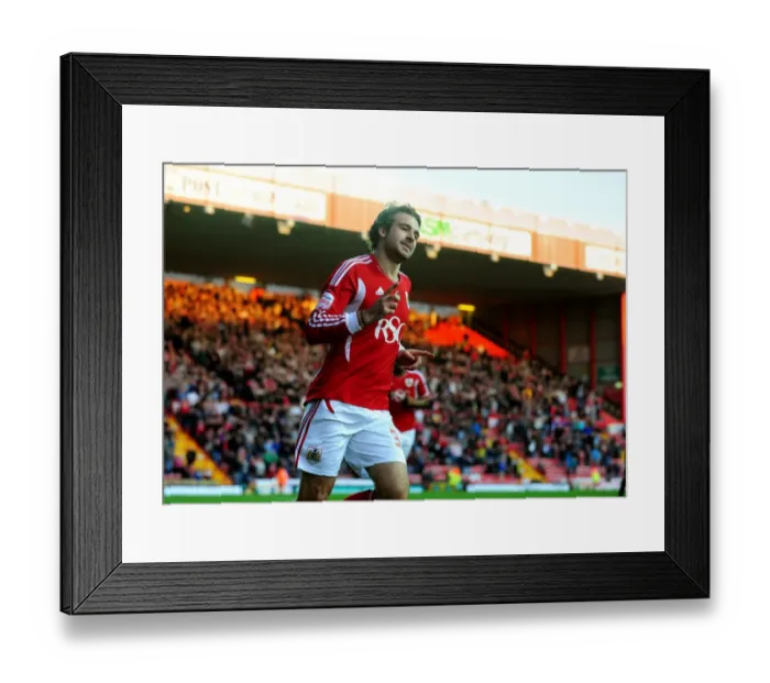 Framed Print : Brett Pitman's Euphoric Championship Goal Celebration for Bristol City vs. Burnley (Nov. 5, 2011, Ashton Gate Stadium) Framed Print : Brett Pitman's Euphoric Championship Goal Celebration for Bristol City vs. Burnley (Nov. 5, 2011, Ashton Gate Stadium)