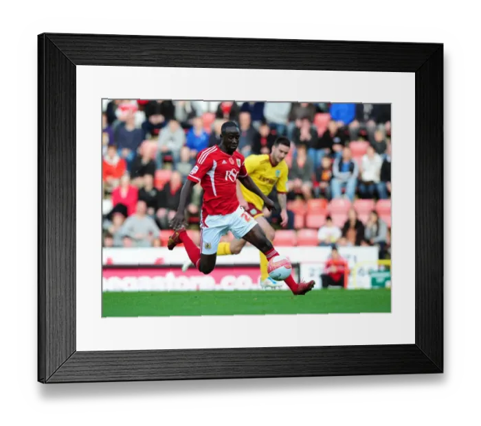 Framed Print : Bristol City's Albert Adomah in Action against Burnley during Championship Match at Ashton Gate Stadium (05 / 11 / 2011)