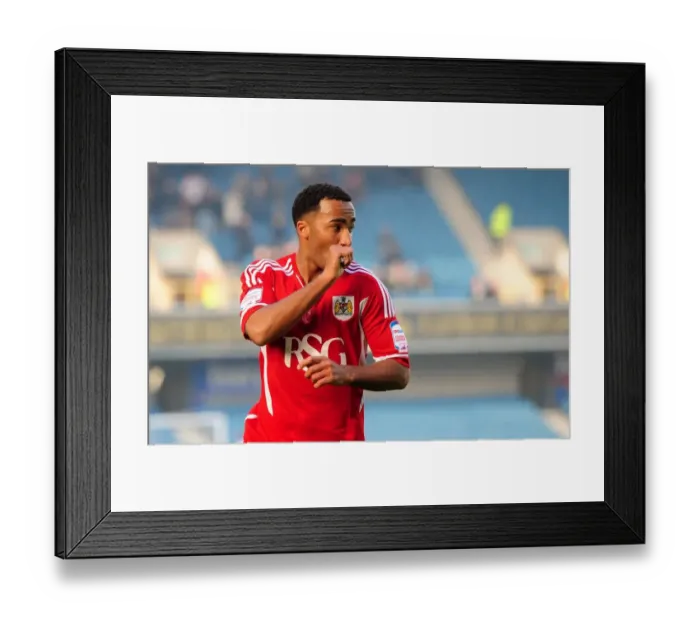 Framed Print : Millwall v Bristol City 201111 Framed Print : Millwall v Bristol City 201111