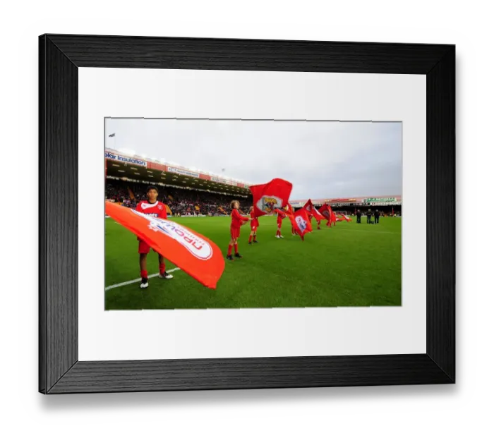 Framed Print : Bristol City Flag Bearers: Unwavering Pride and Passion at the Bristol City vs Southampton Match Framed Print : Bristol City Flag Bearers: Unwavering Pride and Passion at the Bristol City vs Southampton Match