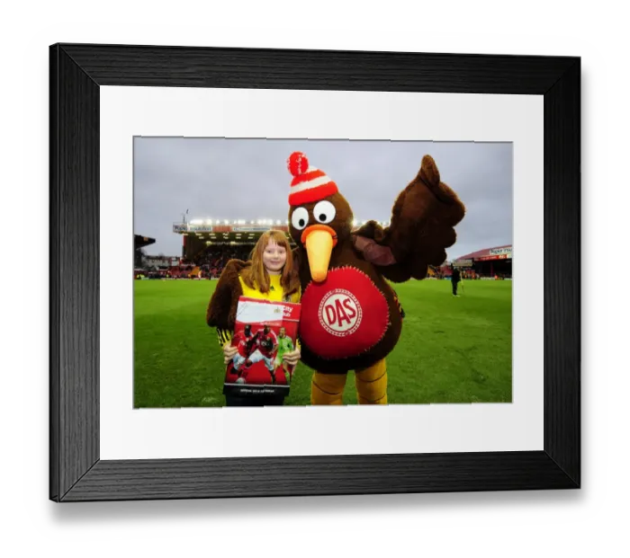 Framed Print : Bristol City vs Southampton: A Football Rivalry - Season 11-12 Framed Print : Bristol City vs Southampton: A Football Rivalry - Season 11-12